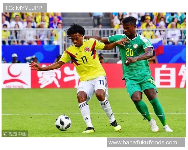 聚焦绿茵传奇解读足坛巨星辉煌荣誉与成就全景展现